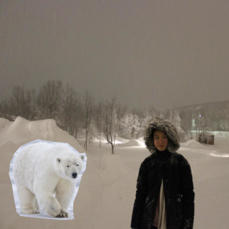 Polar Bear and Me